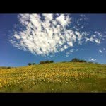 Kirk Peterson - @kungpete - Instagram