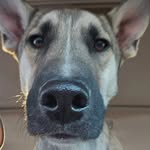 Kirk Ramey - @master0pupil - Instagram