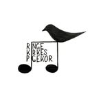 Ringe Kirkes Pigekor - @ringekirkespigekor - Instagram