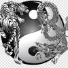 robbinsppkirk052972 - @robbinsppkirk052972 - TikTok