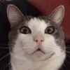Kirk - @kirk_tok - TikTok