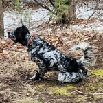 Kirk Schlecker - @kirk.schlecker - Instagram
