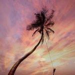Kirk Schmidt 628 - @martinwatkins5643200 - Instagram