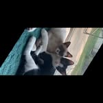 Kirk Seals - @kirk.seals - Instagram