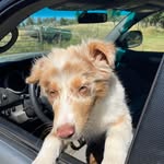 Kirk Shepard - @shepnutz - Instagram