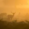 Kirk Sipes - @user6392455554093 - TikTok