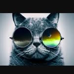 KIRK SOISTMAN - @kirk__soysauce - Instagram