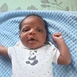 kirk springer - @springer.kirk - Instagram