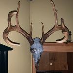 Kirk Stanley - @kirk.stanley.773 - Instagram