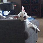 Kirk Stanley - @sctarheel13 - Instagram