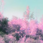 Kirk Sutton - @kirksutton29 - Instagram