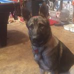 Kirk Thorne - Facebook