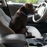 Kirk Vaughn - @vaughn.kirk - Instagram