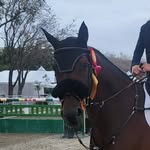 kirk wallis - @horseshowdadoffical - Instagram