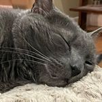 Kirk Watkins - @kirkwatkins2 - Instagram