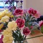 Elizabeth Anne Kirk - @anneweirkirk - Instagram