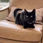 Kirsten Wilson - Facebook