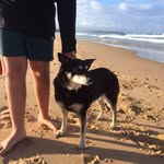 Kirsty Bass - @basskirsty - Instagram
