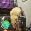 Kirsty Marsh - @kirsty.marsh5 - TikTok