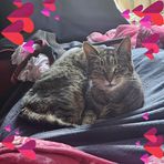 Kirsty Marsh - Facebook