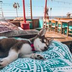 Kirt Jones - @vipor66 - Instagram