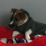 Kirt Jones - @kirt.jones.3110 - Instagram