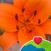 Kisha Henderson - Facebook