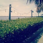 Kisha Manning - @kishamm - Instagram