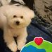Kisha Porter - Facebook