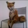 makishawalker - @makisha.walker - TikTok