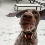 Kisu Lee - @kisu.lee.83 - Instagram