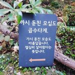 Kisung  Kim - @kim_kisung - Instagram