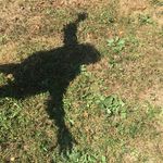 Kit Callahan - @kit_callahan - Instagram