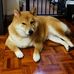Kit Chan - Facebook