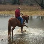 Kit Collins - @crcpolo - Instagram