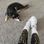 Kit Collins - Facebook