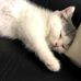 Kit Fong - Facebook