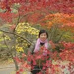 Kit Fong Ho - @kitfongho - Instagram