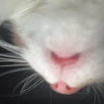 Kat Goodwin - @katgoodwin2007 - Instagram