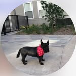 Kit Harris - @kitharris23 - Instagram