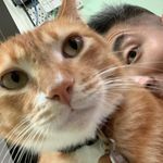 Kit Nicholas Kit - @nicholas_kitwong - Instagram
