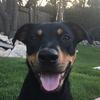 Kit Watson - @watson.kit87 - TikTok