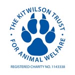 Uckfield - @kit_wilson_trust_shop_uckfield - Instagram