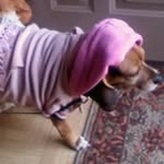 Kittie Thomas - @kittie.thomas.7 - Instagram