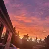 Kitty Alexander - @kitty.alexander1 - TikTok