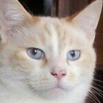 kitty Armstrong - @kitcat4042 - Instagram
