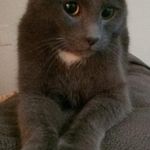 Kitty Armstrong - @2282kitty - Instagram