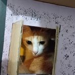 Kitty Avila - Facebook