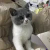 kitty mei - @kittybarry6 - TikTok