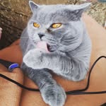 KittyBarry - @barry.kitty - Instagram
